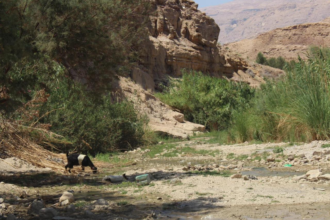 Wadi Al-Hassa Camp Hotel Khawkhah Ngoại thất bức ảnh