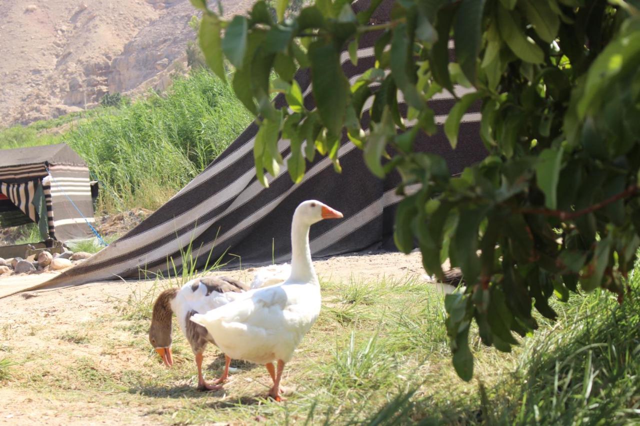 Wadi Al-Hassa Camp Hotel Khawkhah Ngoại thất bức ảnh