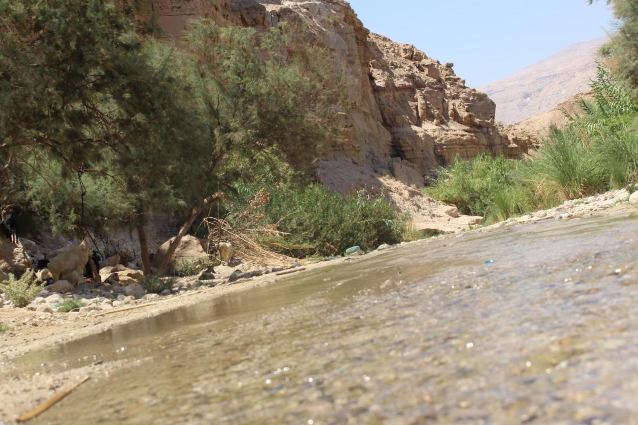 Wadi Al-Hassa Camp Hotel Khawkhah Ngoại thất bức ảnh