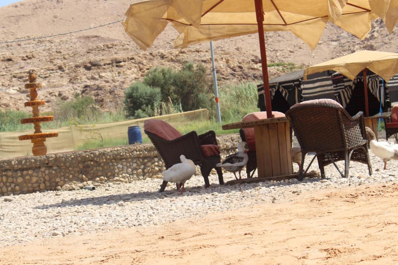 Wadi Al-Hassa Camp Hotel Khawkhah Ngoại thất bức ảnh
