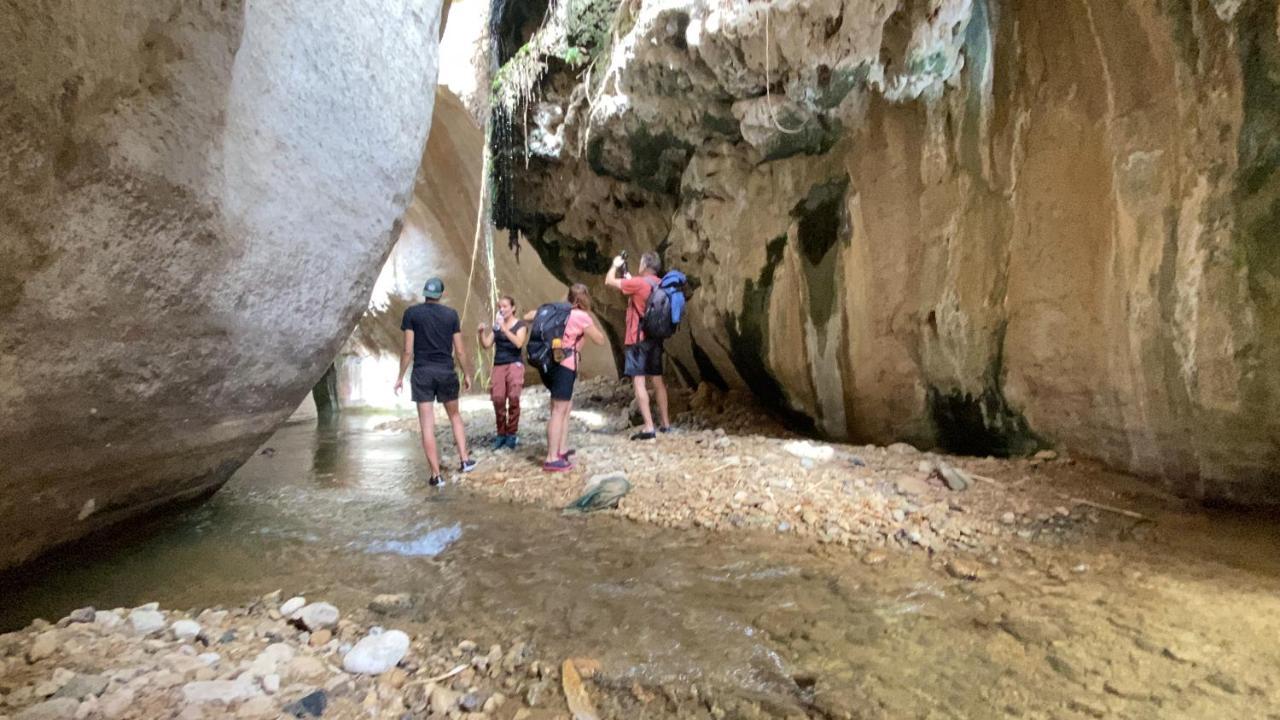 Wadi Al-Hassa Camp Hotel Khawkhah Ngoại thất bức ảnh