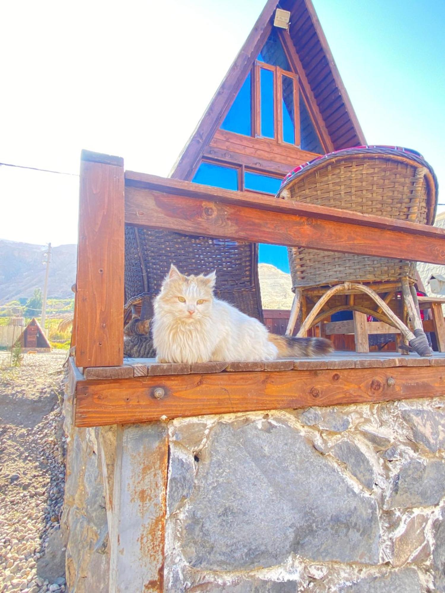Wadi Al-Hassa Camp Hotel Khawkhah Ngoại thất bức ảnh